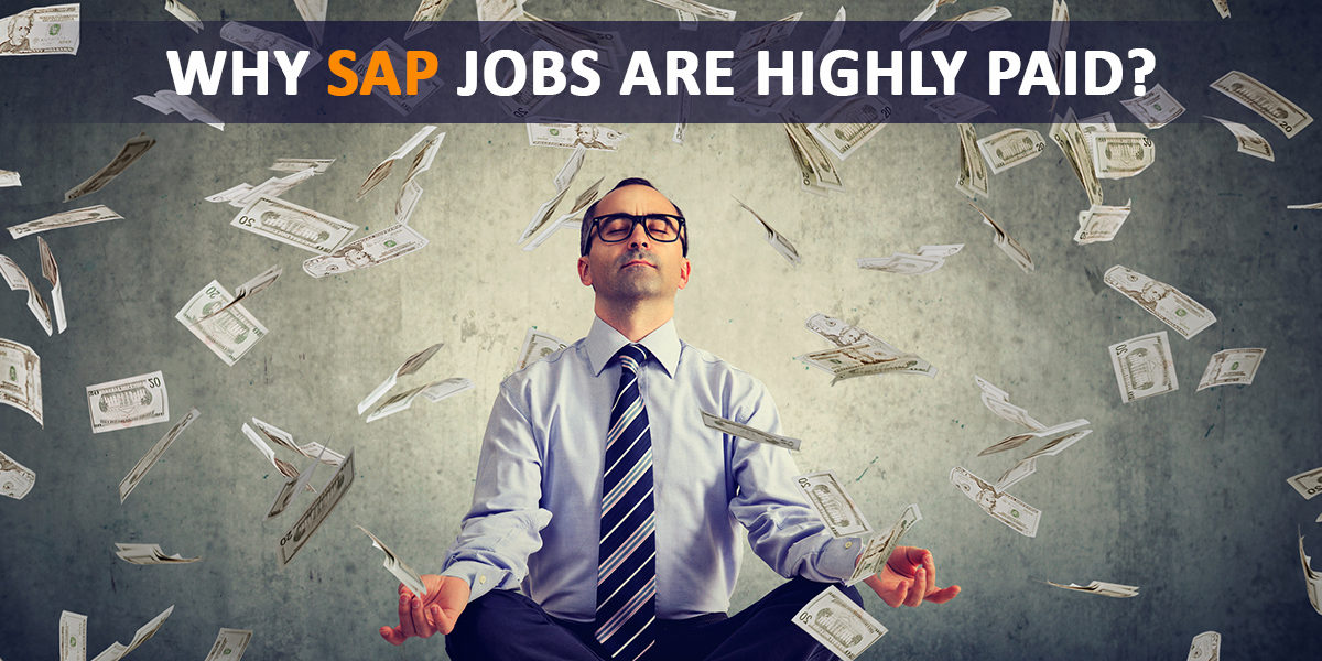 Why SAP is considered as the highest paying job?