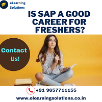 Is SAP a good career for freshers?