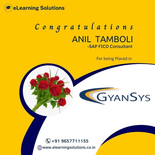eLearning Solutions Tamboli