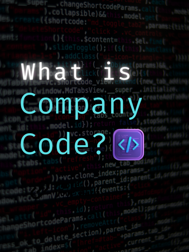 What is Company Code?