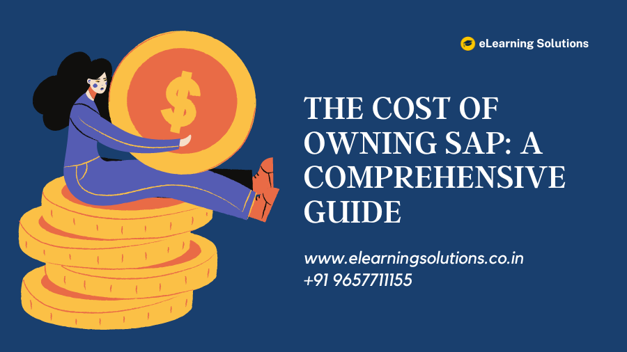 The Cost of Owning SAP