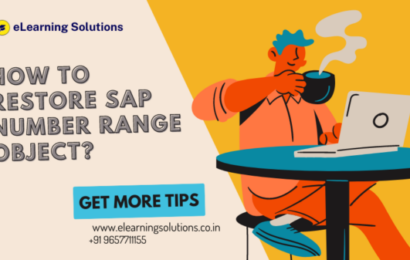How to restore a number range object in SAP