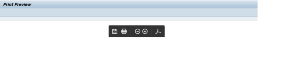 SAP Adobe Interactive Form Tutorial Part IX Displaying Dynamic Text in ...