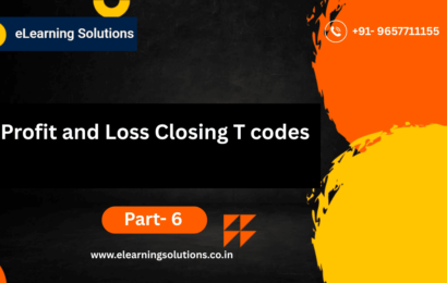 Profit and Loss Closing T codes