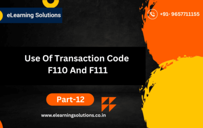 Use Of Transaction Code F110 And F111