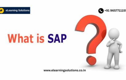 /what-is-sap