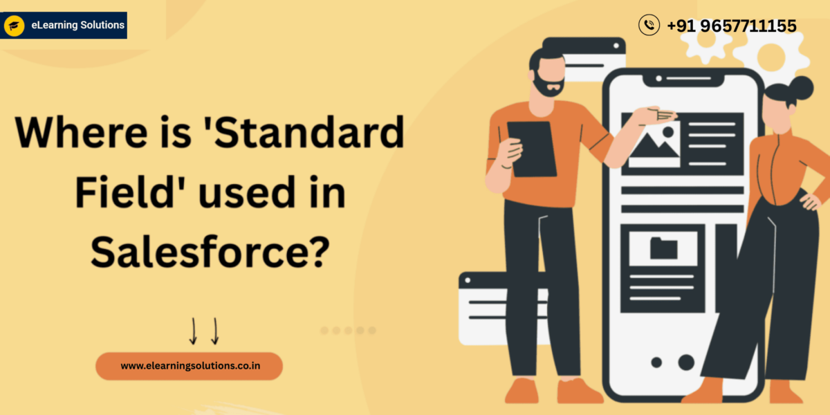 Where is 'Standard Field' used in Salesforce?