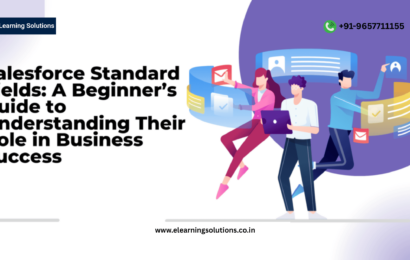 Salesforce Standard Fields: A Beginner’s Guide to Understanding Their Role in Business Success