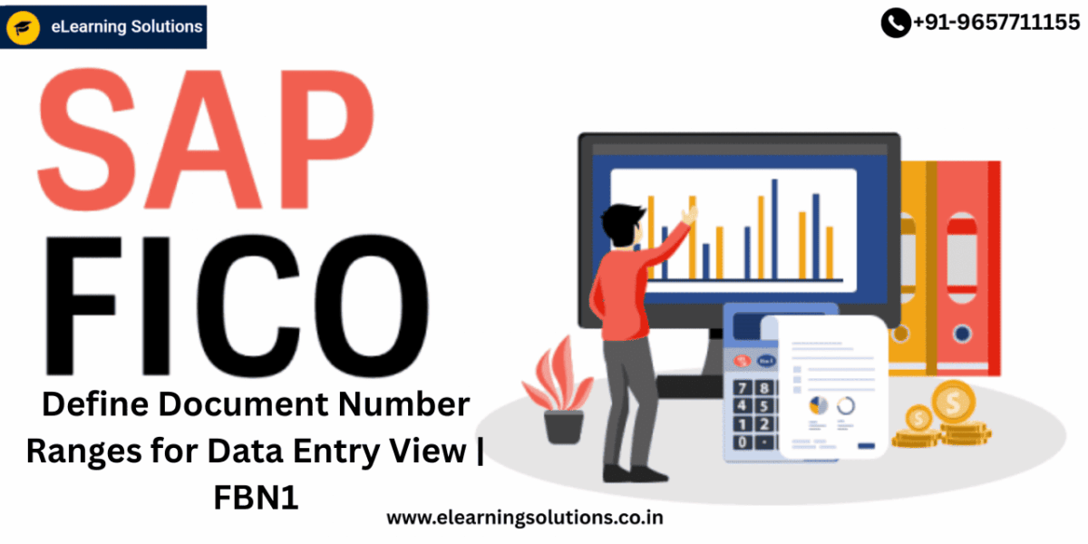 SAP FBN1 transaction screen for defining document number ranges for data entry view