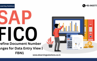 SAP FBN1 transaction screen for defining document number ranges for data entry view