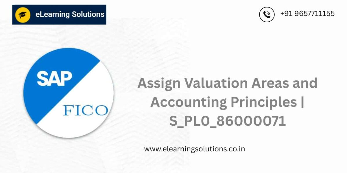 SAP Assign Valuation Areas and Accounting Principles screen (S_PL0_86000071) showing valuation area to accounting principle mapping