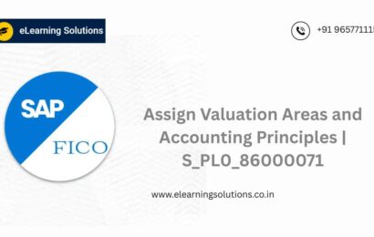 SAP Assign Valuation Areas and Accounting Principles screen (S_PL0_86000071) showing valuation area to accounting principle mapping