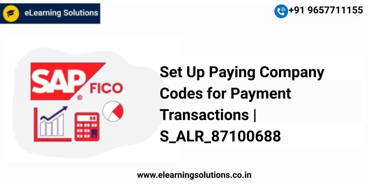 SAP Set Up Paying Company Codes for Payment Transactions screen (S_ALR_87100688) showing minimum amounts, form settings, and bill of exchange configuration for the paying company code