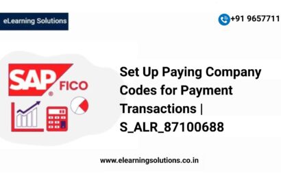 SAP Set Up Paying Company Codes for Payment Transactions screen (S_ALR_87100688) showing minimum amounts, form settings, and bill of exchange configuration for the paying company code