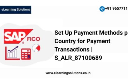 SAP Set Up Payment Methods per Country for Payment Transactions screen (S_ALR_87100689) showing payment method configuration for check, bank transfer, and bill of exchange by country