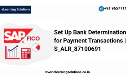 SAP Set Up Bank Determination for Payment Transactions screen (S_ALR_87100691) showing ranking order, bank accounts, and available amounts for house bank selection