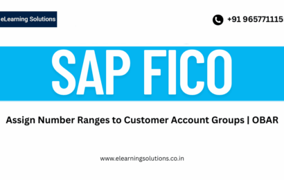 SAP FICO OBAR transaction screen for assigning number ranges to customer account groups