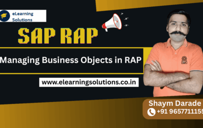Managing Business Objects in RAP