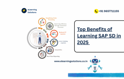 Explore the Benefits of Learning SAP SD in 2025