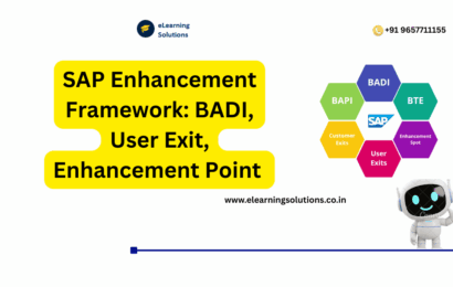 SAP Enhancement Framework BADI User Exit Enhancement Point