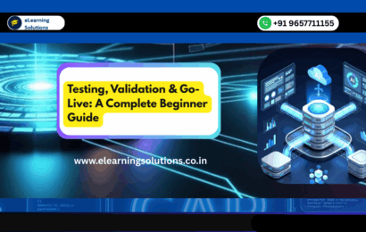 Testing, Validation and Go-Live process in software development