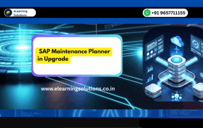 SAP Maintenance Planner showing system compatibility for SAP upgrade
