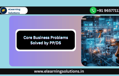 Core Business Problems Solved by PP/DS