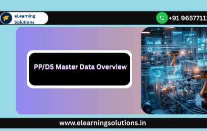 PP/DS Master Data Overview: A Beginner’s Guide