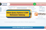 OData query options in SAP NetWeaver Gateway service URL examples