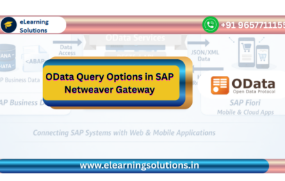 OData query options in SAP NetWeaver Gateway service URL examples