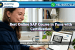 Student learning SAP online with certification training in Pune
